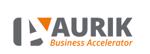 Aurik Business Accelerator