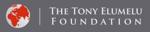 The Tony Elumelu Foundation Entrepreneurship Programme